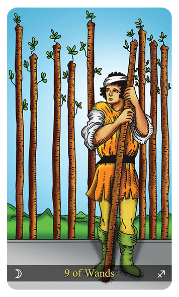 Nine of Wands
